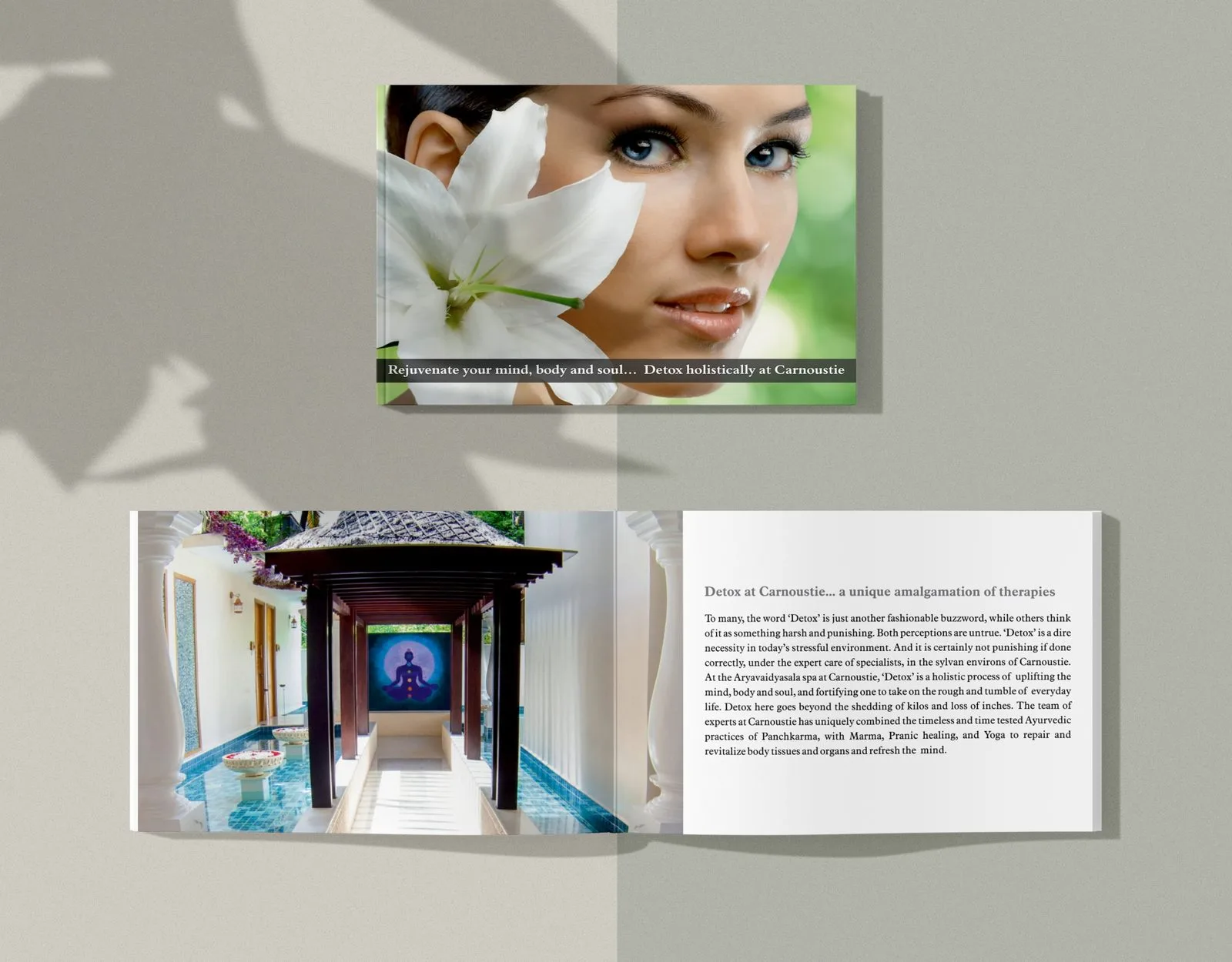Product packaging & branding